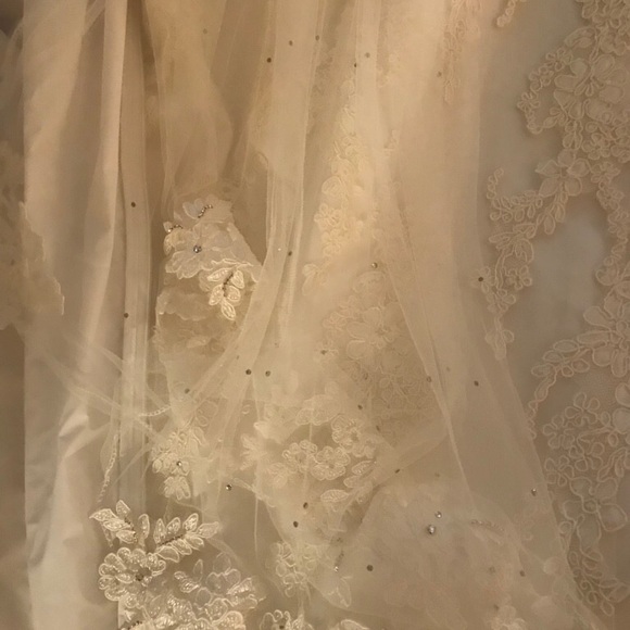 Private Collections Wedding Dress - Picture 6 of 6